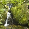 Stock Ghyll 2