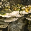 Stock Ghyll 3