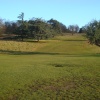 Richmond Park, sunny January day