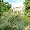 Oxford, the Botanical garden