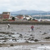 Tayport