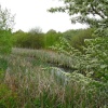Remnants of the Dearne and Dove Canal