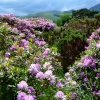 Beddgelert Snowdonia National  Park