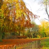 Autumn in Matlock