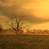 Autumn at Alnwick