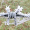 Now that Is a sharp frost!