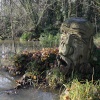 Hideous carved head at View Island, Caversham