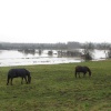 Woodford Floods