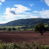 Bristol
