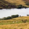 Bristol landscape