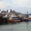 Oban Harbour