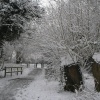 Walking in the Snow at Watermead Country Park