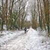 Stour Valley Winter, The North Dorset Trailway, Shillingstone.