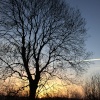 Near Bosworth
