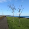 The Promenade