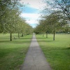 Walking on the green of Cambridge