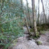 Southleigh