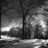Wentworth