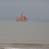 The Bay