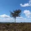 Sampford Moor