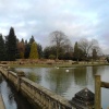 Coombe Abbey