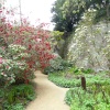 Belsay Hall and Gardens, Ponteland, Northumberland