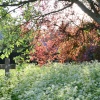Brockhall churchyard
