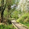 Wroxham