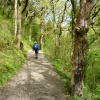 Walking to Watersmeet from Lymouth