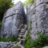 Fairysteps