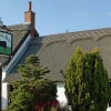 The Black Bull