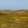 Perranporth