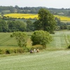 The Great English Countryside