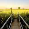 Fields of Atherstone Lanes
