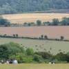 A picnic on Box Hill