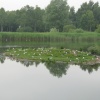 Whisby Nature Reserve