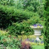 Avenue Gardens, Regent's Park