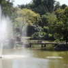 Chinese Water Garden at Cliveden
