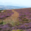 Quantock Hills