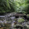Watersmeet, Lynton Devon