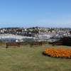 The Rose Garden (near Battery Garden)