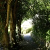 Selworthy, Somerset