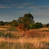 Barnack Hills & Holes NNR