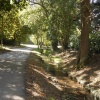 Country lane, Draycote