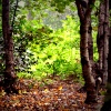 When Spring met Autumn