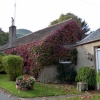 Falkland