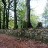 Quantock Hills
