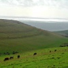 Worth Matravers