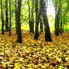 Kingsbury Water Park