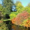 Autumn colours around the lake